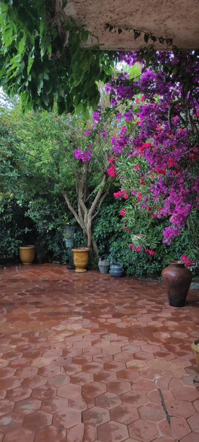 Maison De Vacances A L'Ayguade Classee 3 Etoiles, Climatisee,3Mn A Pied Plage Et Restos ,5Mn Aeroport, 10Mn Gare Йер Экстерьер фото